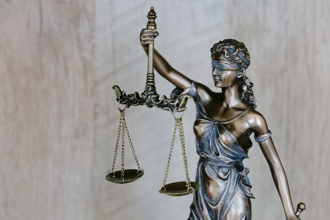 Professional legal consultation